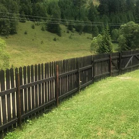 Pensiunea Valea Dorului *