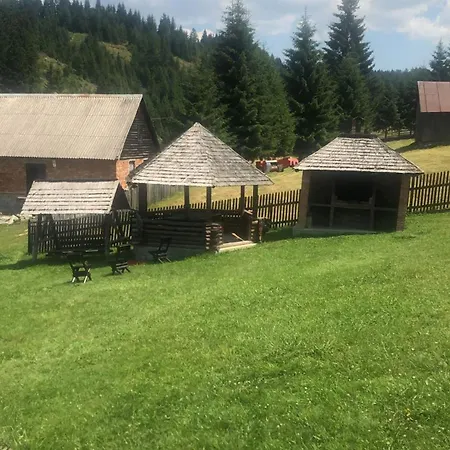 Guest house Pensiunea Valea Dorului Fundatica