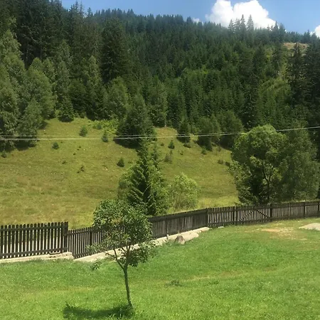 Pensiunea Valea Dorului * Fundatica