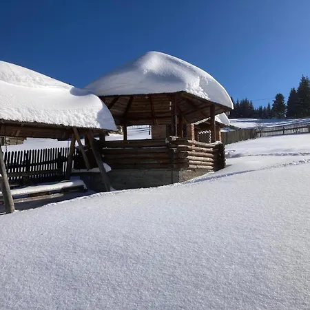 Pensiunea Valea Dorului Guest house