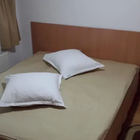 Guest house Pensiunea Valea Dorului