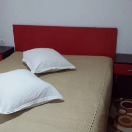 Guest house Pensiunea Valea Dorului *