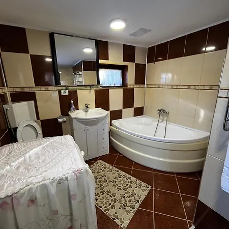 Guest house Pensiunea Valea Dorului *