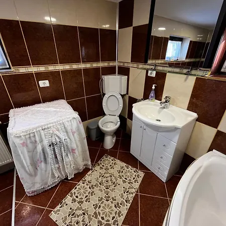 Guest house Pensiunea Valea Dorului *