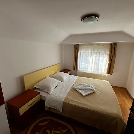 Guest house Pensiunea Valea Dorului *