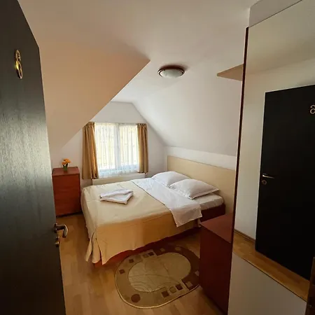 Guest house Pensiunea Valea Dorului Fundatica